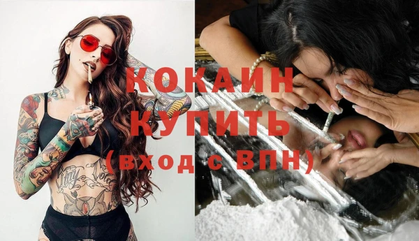 тгк Пестово