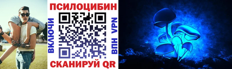 цены   Петров Вал  Галлюциногенные грибы Psilocybine cubensis 